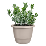 amiga rund 35cm mushroom beige